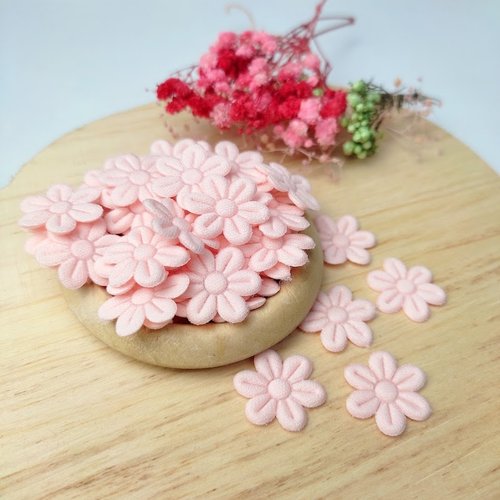 Aplique Flor Prensada Com 50 Unidades - Salmão Claro